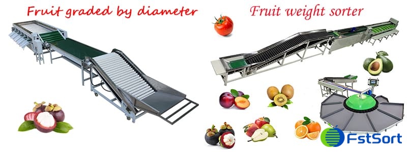 images/1653295091439Fruit graded by diameter.jpg